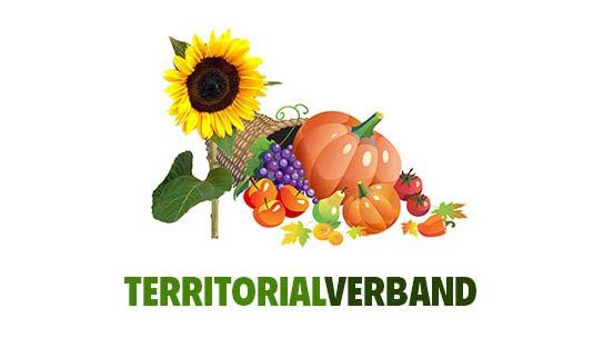 Territorialverband Kamenz
